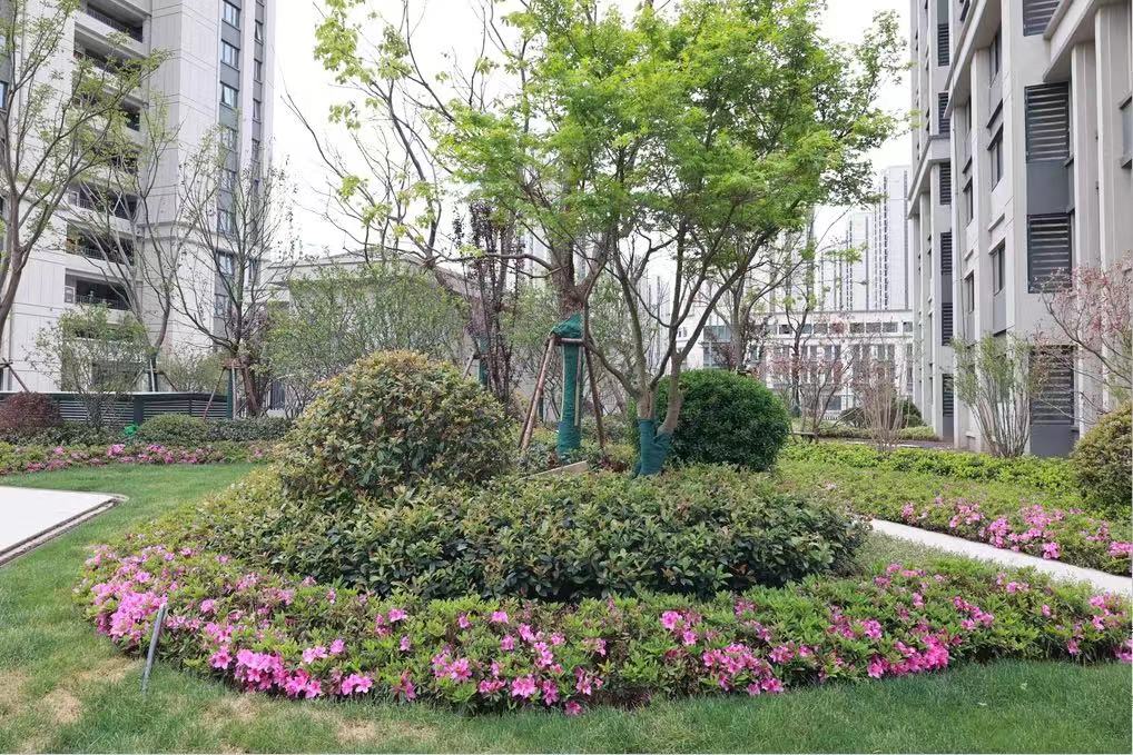 交通方便、配套齐全，824套保险房即将交付！